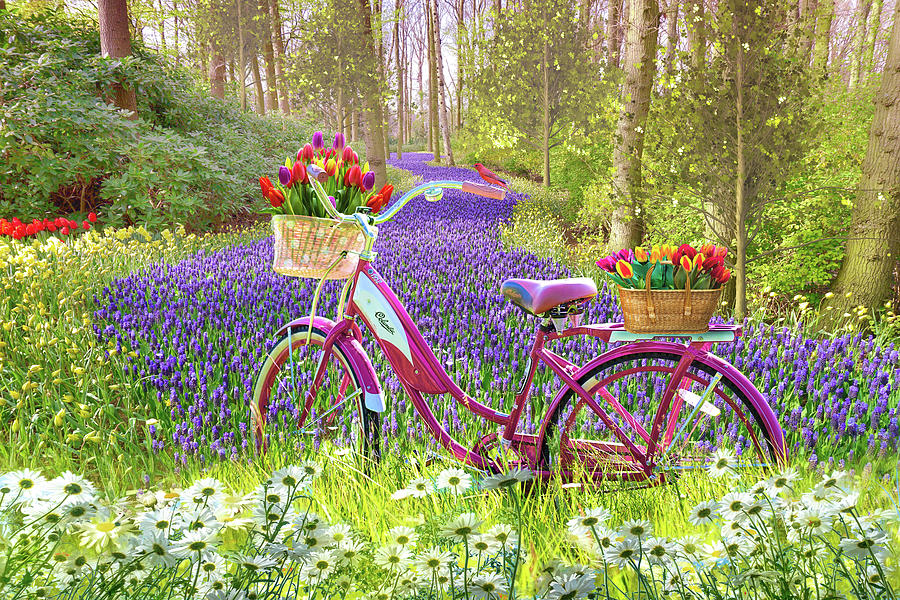Bicycle in Flowers Photograph by Debra and Dave Vanderlaan