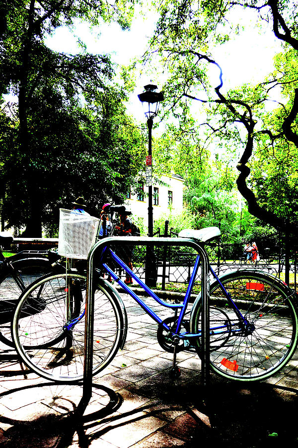 Bicycle In Park In Krakow, Poland 3 Photograph by John Siest