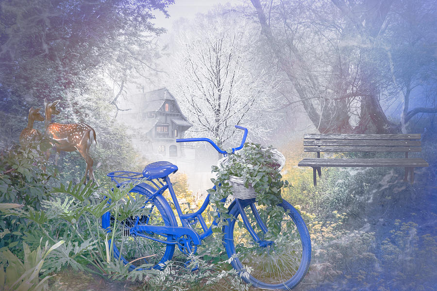Bicycle in the Dreamy Mist Photograph by Debra and Dave Vanderlaan
