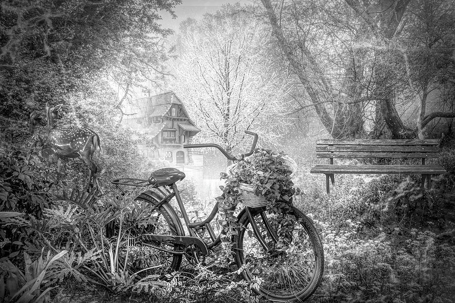 Bicycle in the Mist in Black and White Photograph by Debra and Dave Vanderlaan