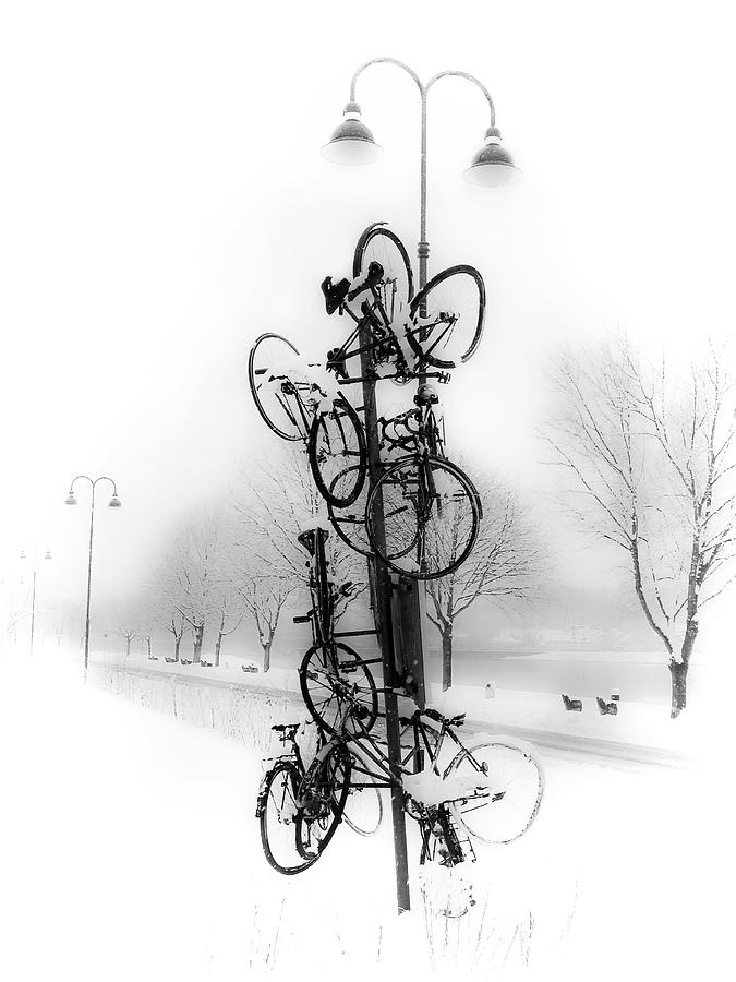 Bicycle Lamppost in Winter Photograph by Menega Sabidussi