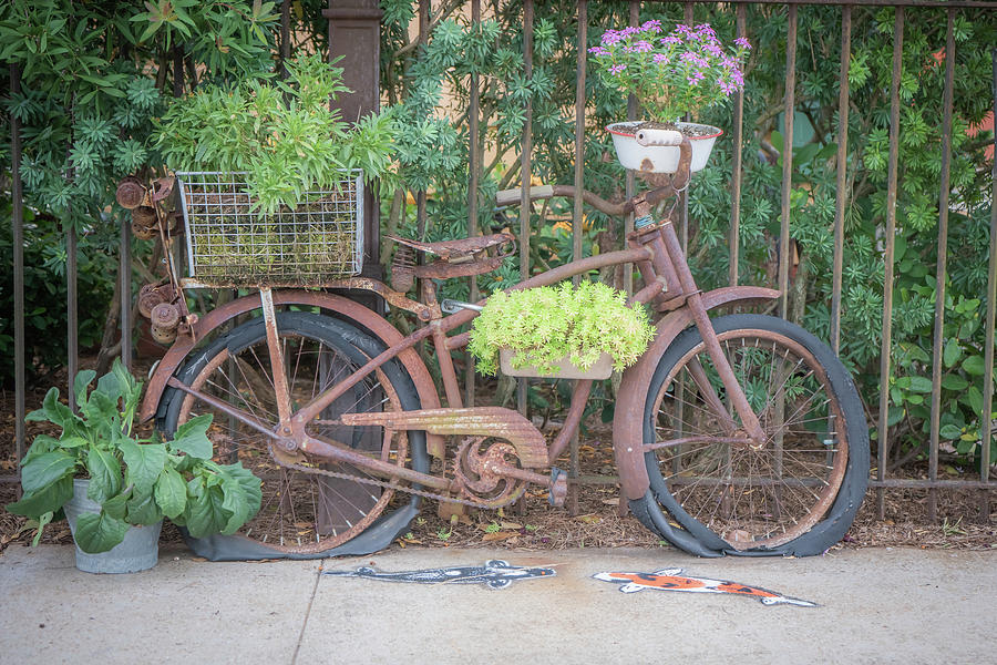 The range bicycle planter best sale