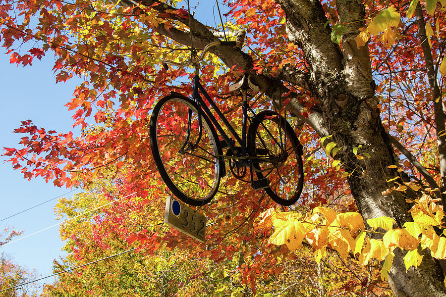 Bicycle road marker in fall by Jeff Folger Bicycle road marker in fall by Jeff Folger