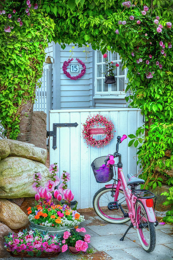 Bicycle Waiting at the Garden Gate Photograph by Debra and Dave Vanderlaan