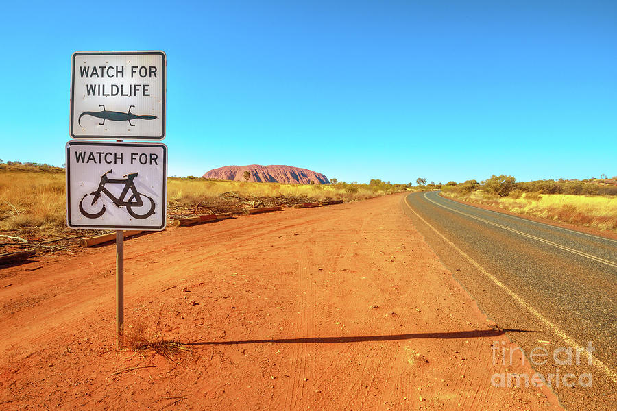 Bicycle warning Uluru Photograph by Benny Marty