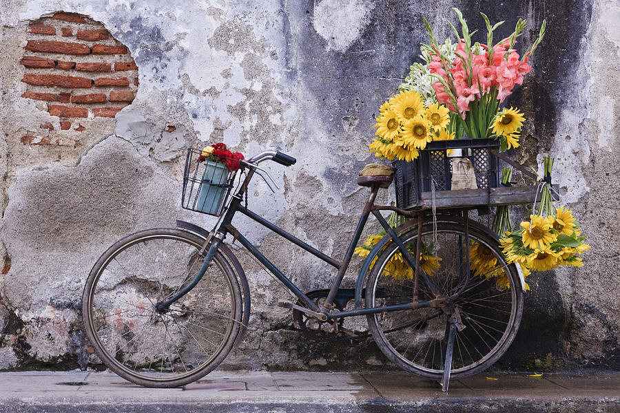 Bicycle with flowers in basket Photograph by Jeremy Woodhouse