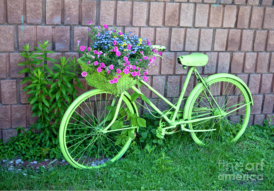 Bicycle with flowers Photograph by Klaus Lang