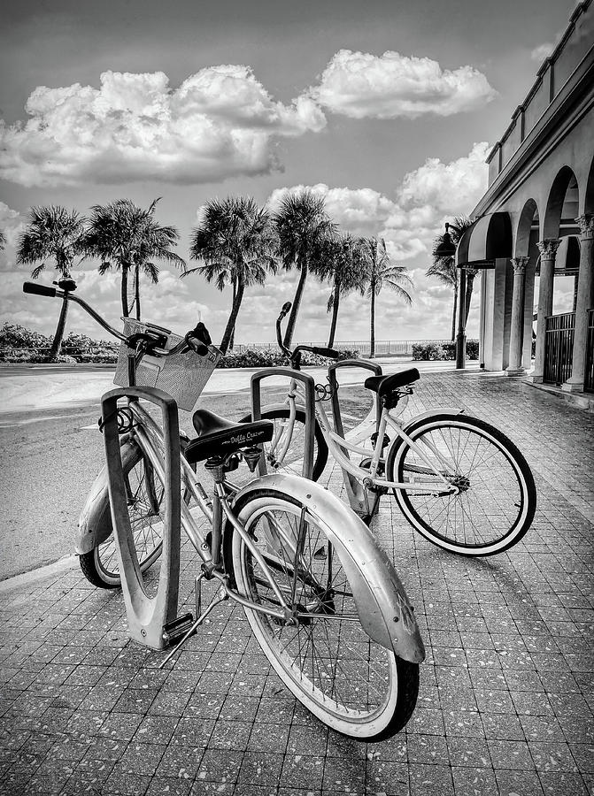 Bicycles at the Beach Casino Black and White Photograph by Debra and Dave Vanderlaan