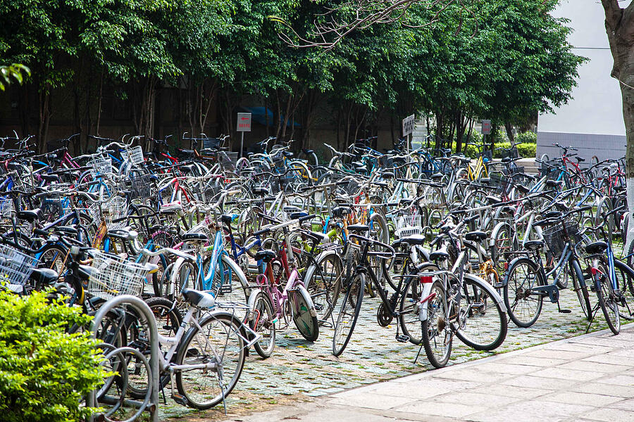 Bicycles at Xiamen University Photograph by Sean Andrew Maynard