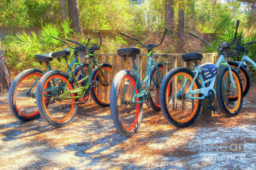 Bicycles In Florida # 2 Photograph by Mel Steinhauer