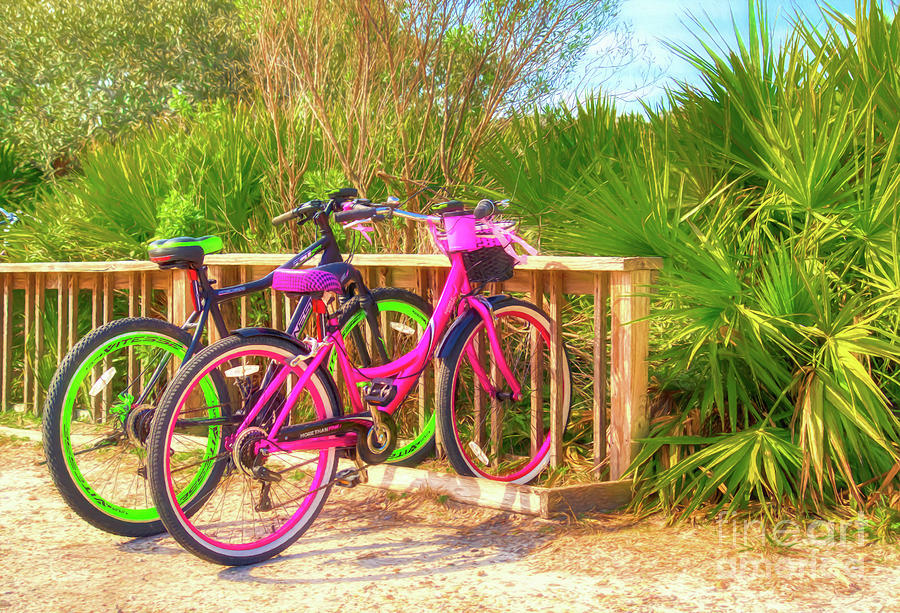 Bicycles In Florida Photograph by Mel Steinhauer