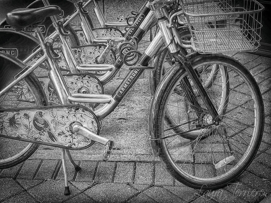 Bicycles Photograph by Laura Terriere