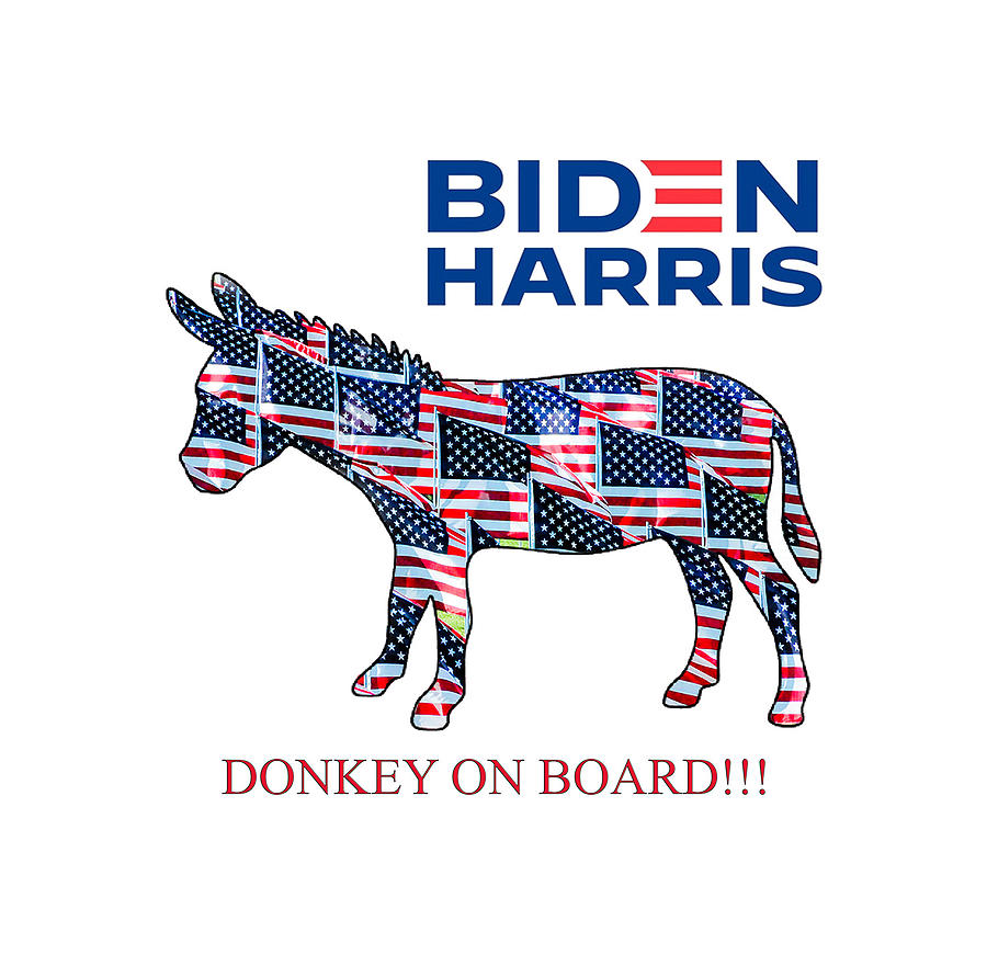 Biden/Harris Donkey on Board Photograph by Julian Starks
