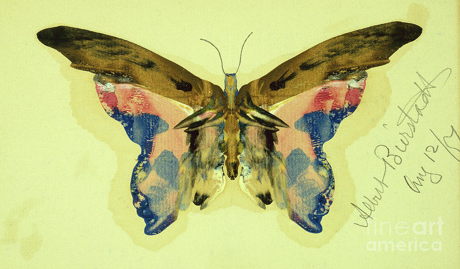 Bierstadt, Butterfly Painting by Albert Bierstadt