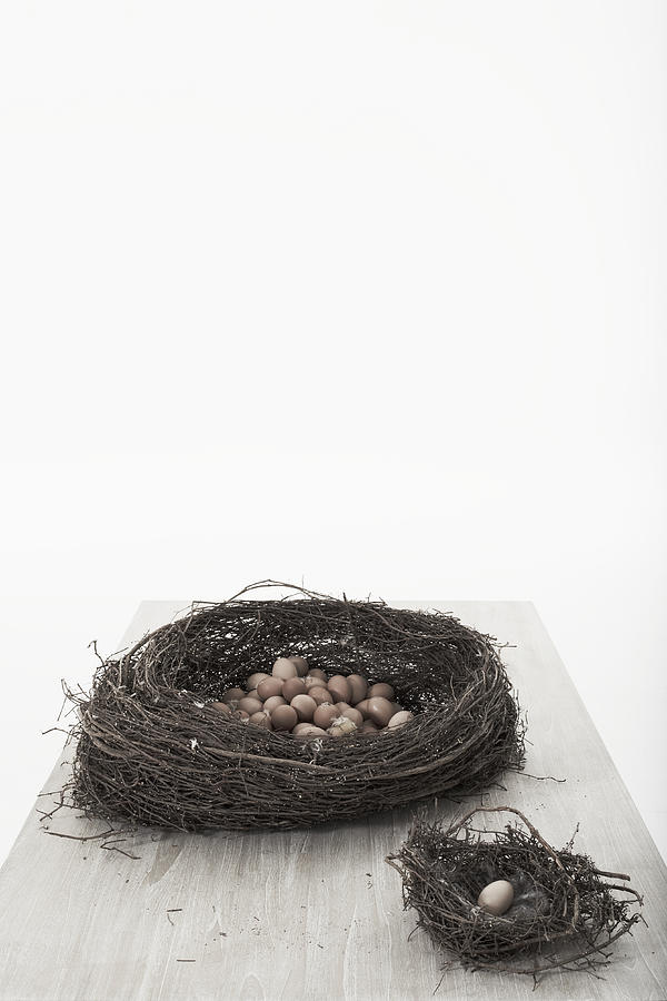 Big and small nest with eggs, studio shot Photograph by Knowlesie