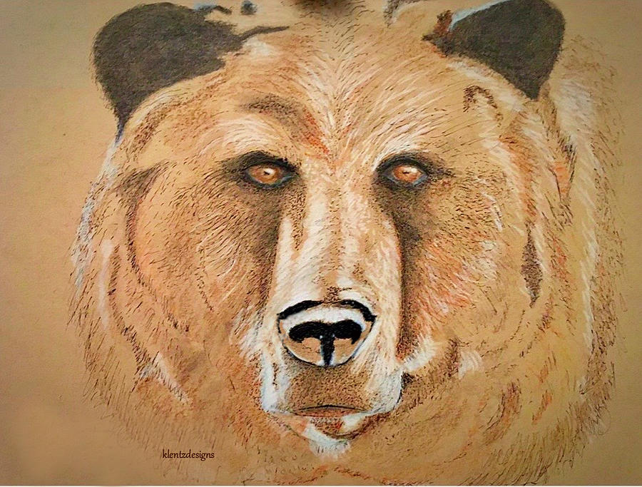 Yellowstone National Park Drawing - Big Bear by Kim Lentz