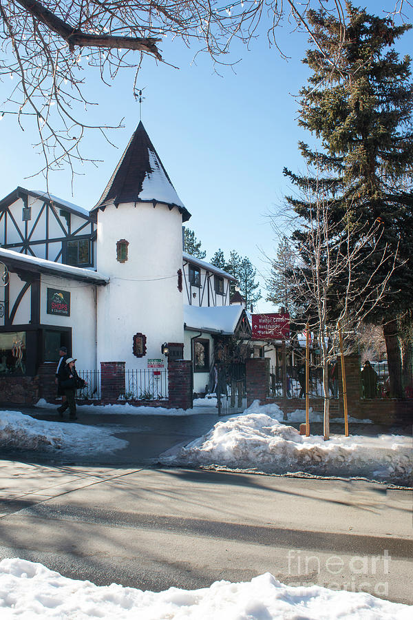 Big Bear Visitor Center Photograph by Ivete Basso Photography Pixels