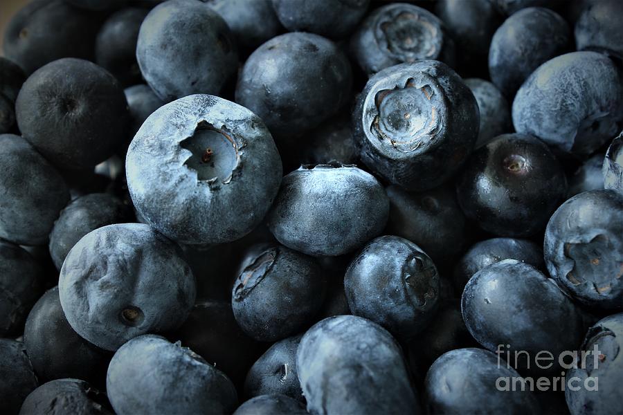 Big Beautiful Blueberries Photograph by Stephen Thomas - Fine Art America