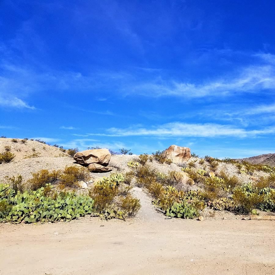 Big Bend Glen Springs Photograph by Melissa Krieg