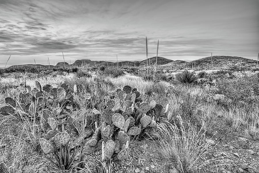 Big Bend of Texas Black and White Photograph by JC Findley