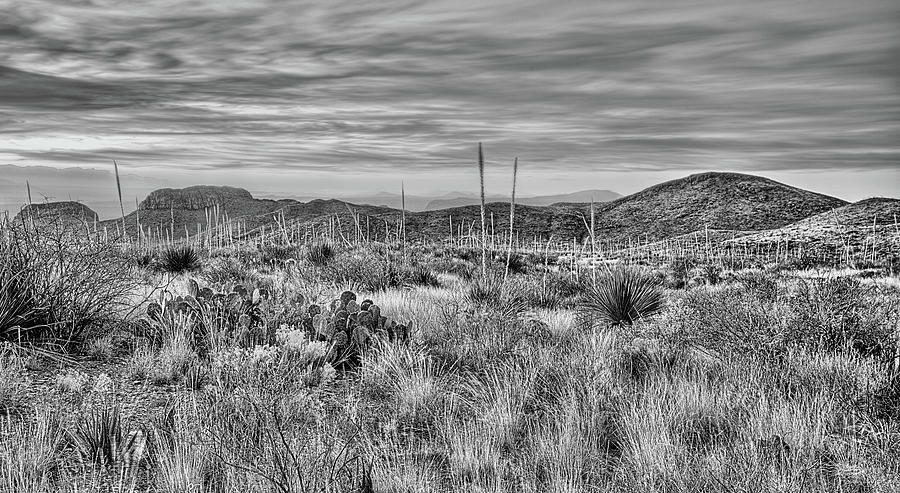 Big Bend Pano Black and White Photograph by JC Findley