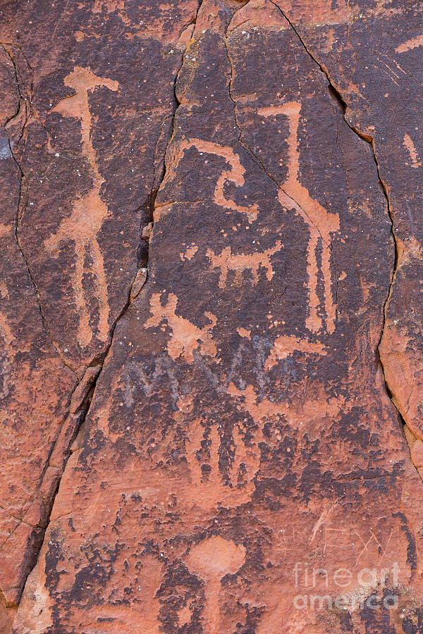 Turtle Photograph - Big Bird Petroglyph by Jerry Fornarotto