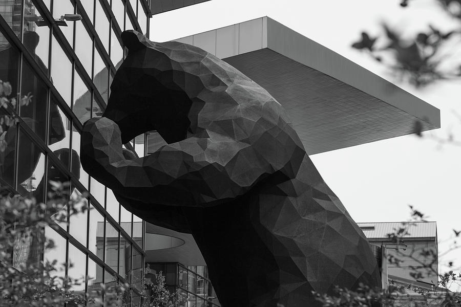 Big Blue Bear in Denver Colorado in black and white Photograph by Eldon McGraw