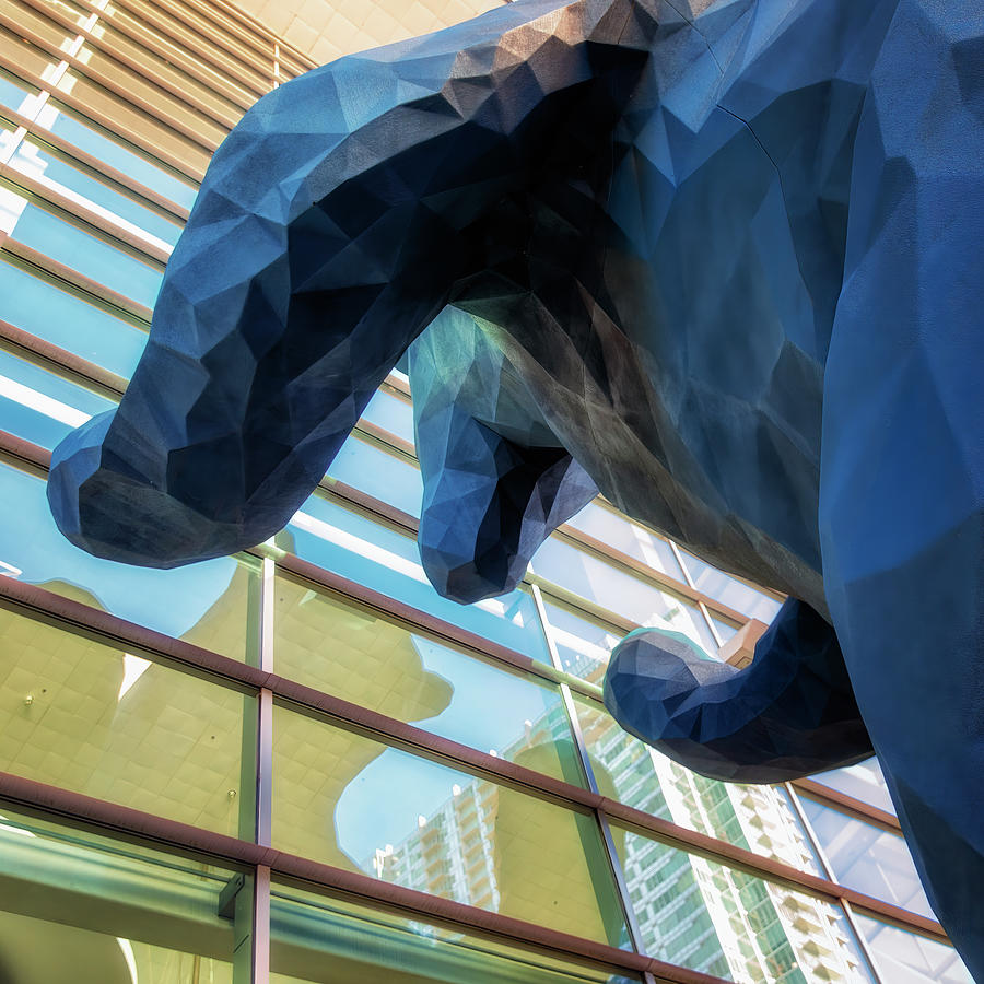 Big Blue Bear Photograph by Stephen Stookey