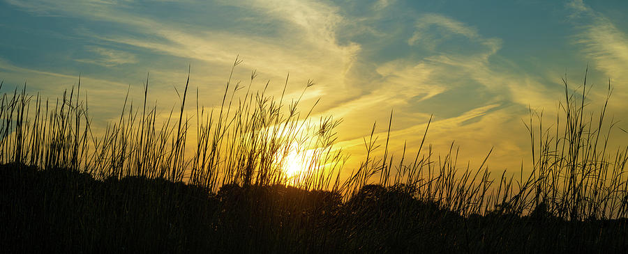 Big Bluestem Native Prairie Grasses Sunset Photograph
