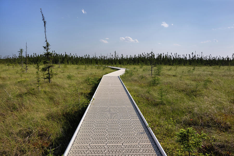 Big Bog Boardwalk 1 Photograph by John Brueske - Pixels