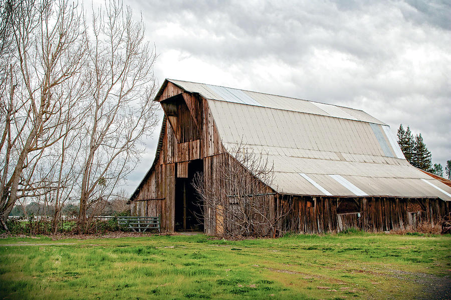 Big Brown Barn  Photograph by William Havle