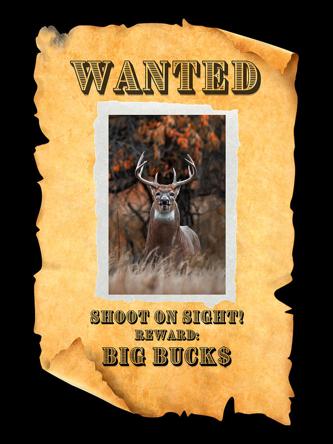 Big Bucks Wanted Poster Photograph by Christopher Thomas