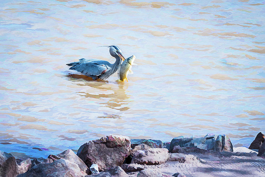 Big Catch of the Day Photograph by Debra Martz