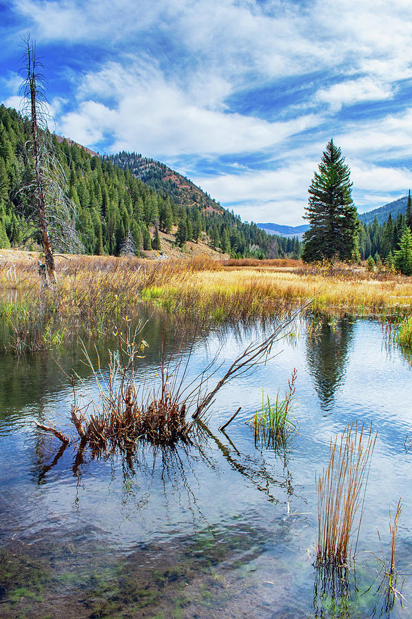 Big Cottonwood Canyon Stream Portrait Photograph by Kyle Hanson - Fine ...