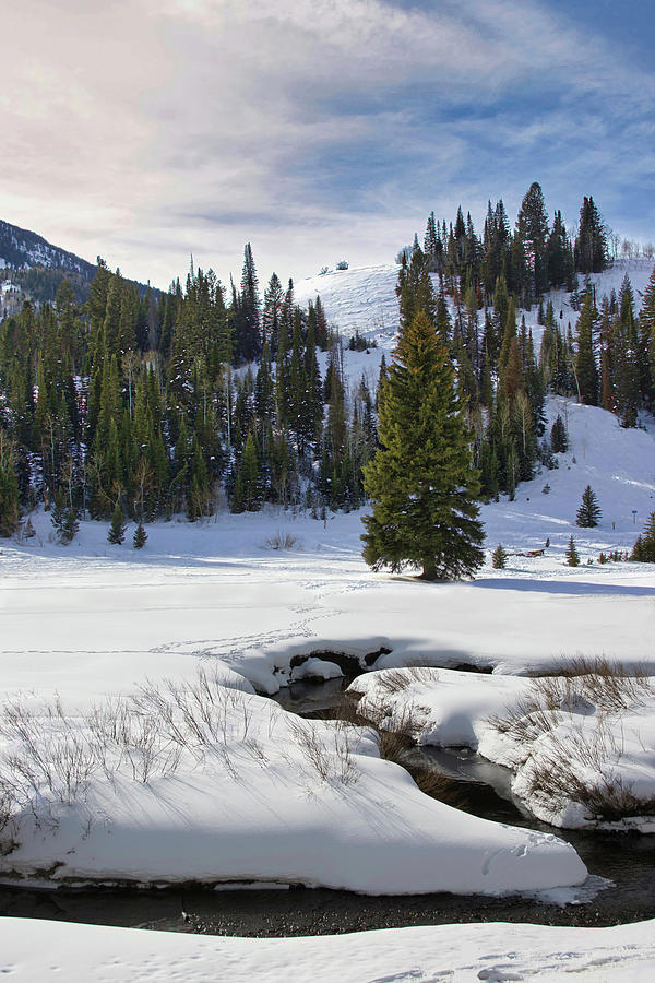 Big Cottonwood Creek Photograph by Tony Huffaker - Fine Art America