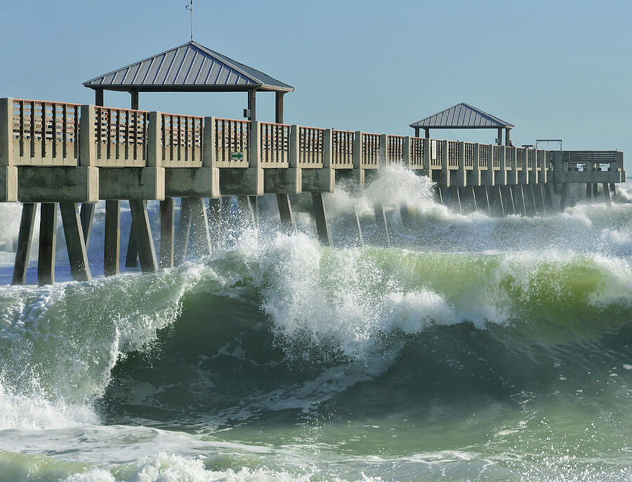 Big Curl Photograph by Laura Fasulo
