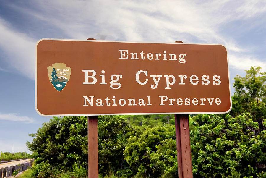 Big Cypress National Preserve Photograph by Bob Pardue