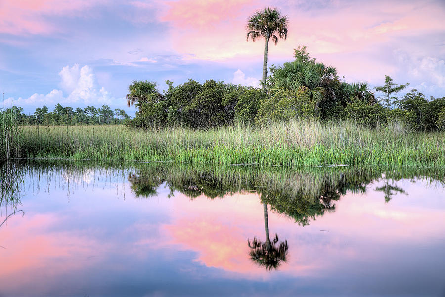 Big Cypress National Preserve Photograph by JC Findley