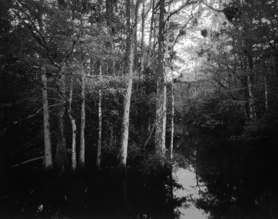 Big Cypress Pinhole -23 Photograph