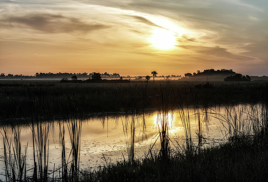 Big Cypress Sunrise Photograph by Rudy Wilms