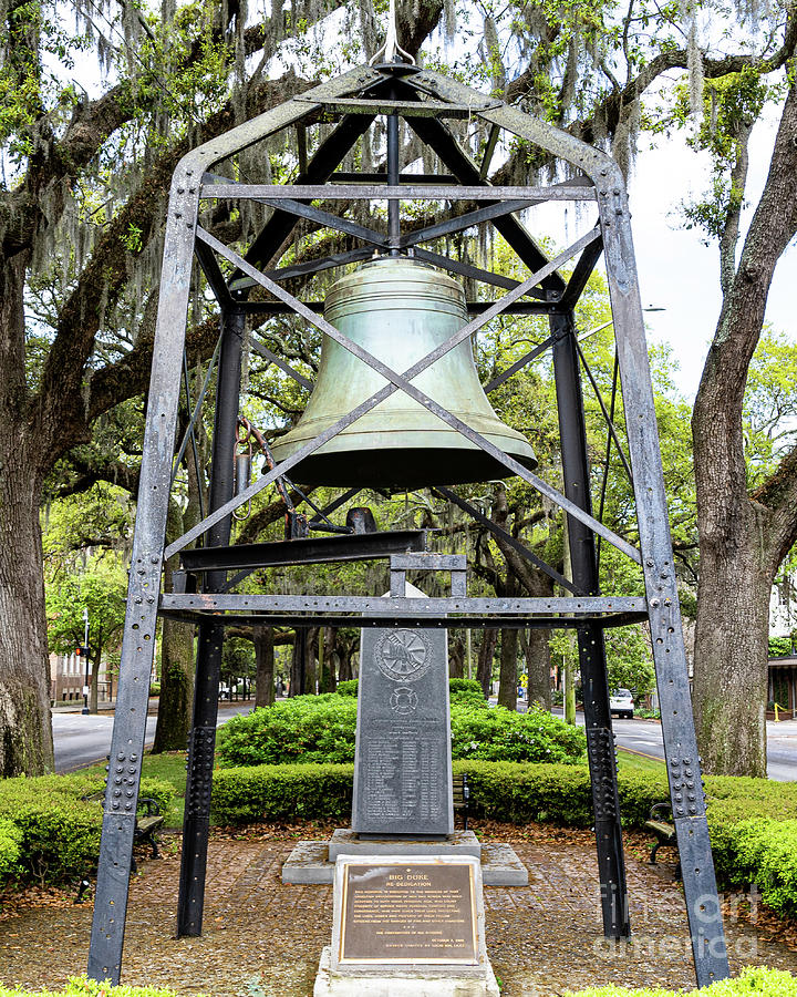 Big Duke Alarm Bell Savannah Photograph by The Photourist Fine Art