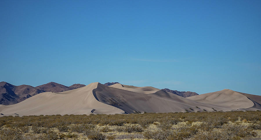 Big Dune II Photograph by Melanie Wood | Fine Art America