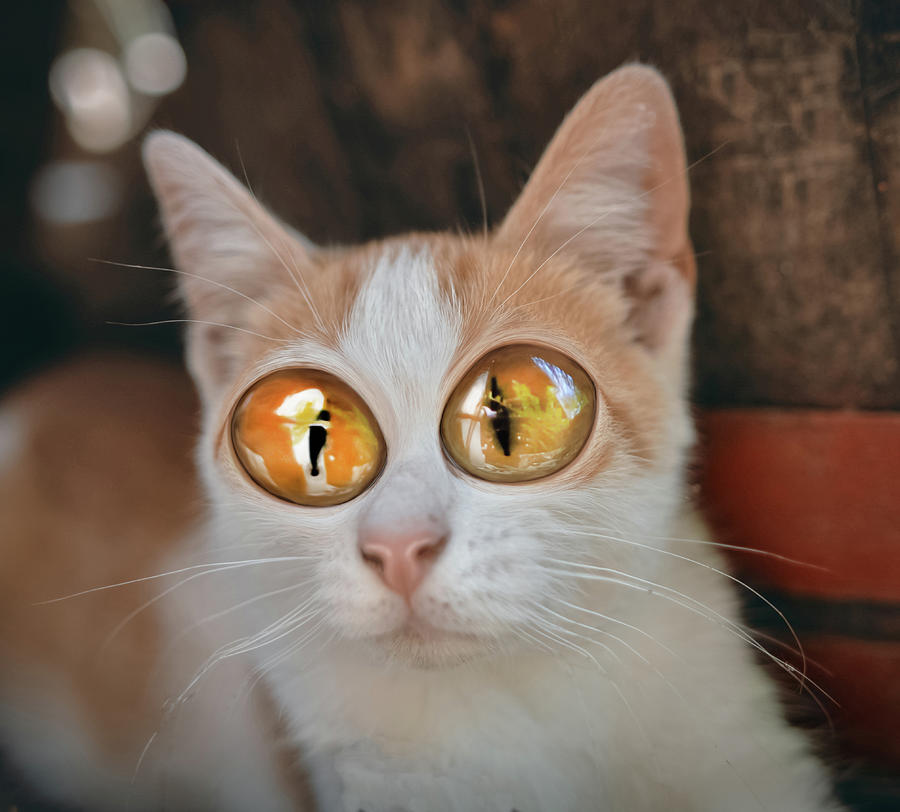 My Image 30