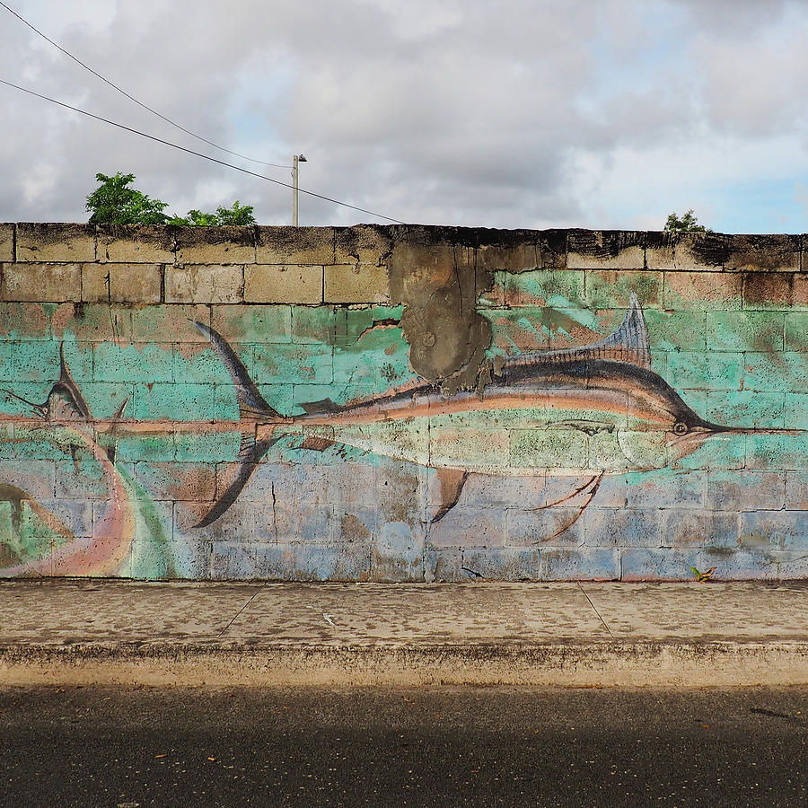 Big Fish Photograph by Luz Resto Big Fish Photograph by Luz Resto