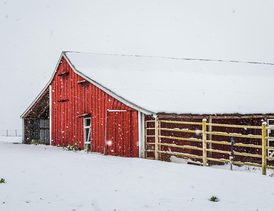 Big Freeze Photograph by Michael Wayne Barnett - Fine Art America