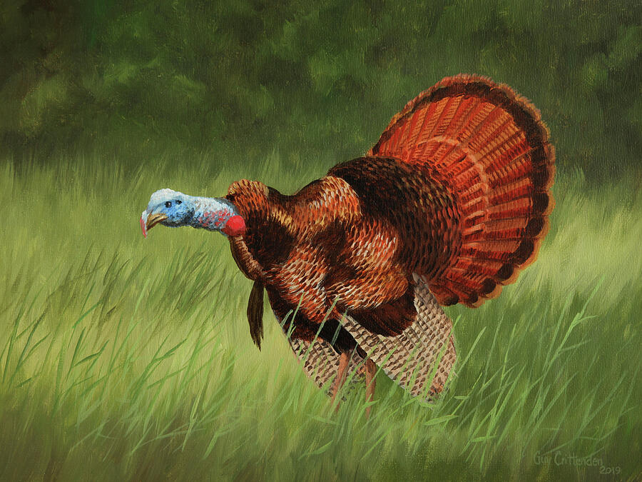 Turkey Painting - Big Gobbler by Guy Crittenden