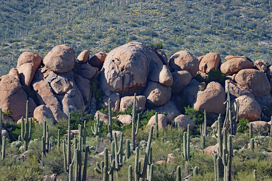 In fact Prescribe remember Big Granite Boulders All In A Row Digital Art by Tom Janca - Fine Art  America