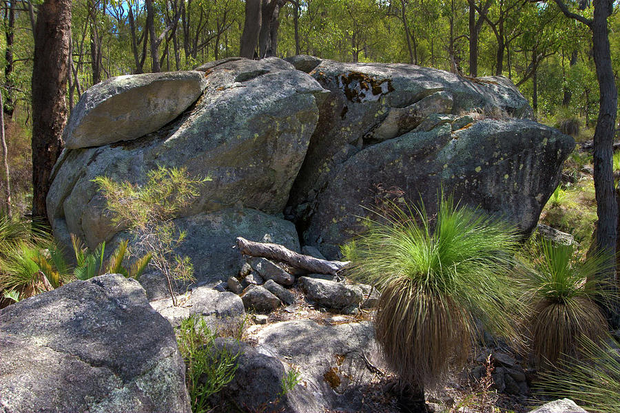Big granite rock in the Western Australian bush Photograph by Jeremy Holton