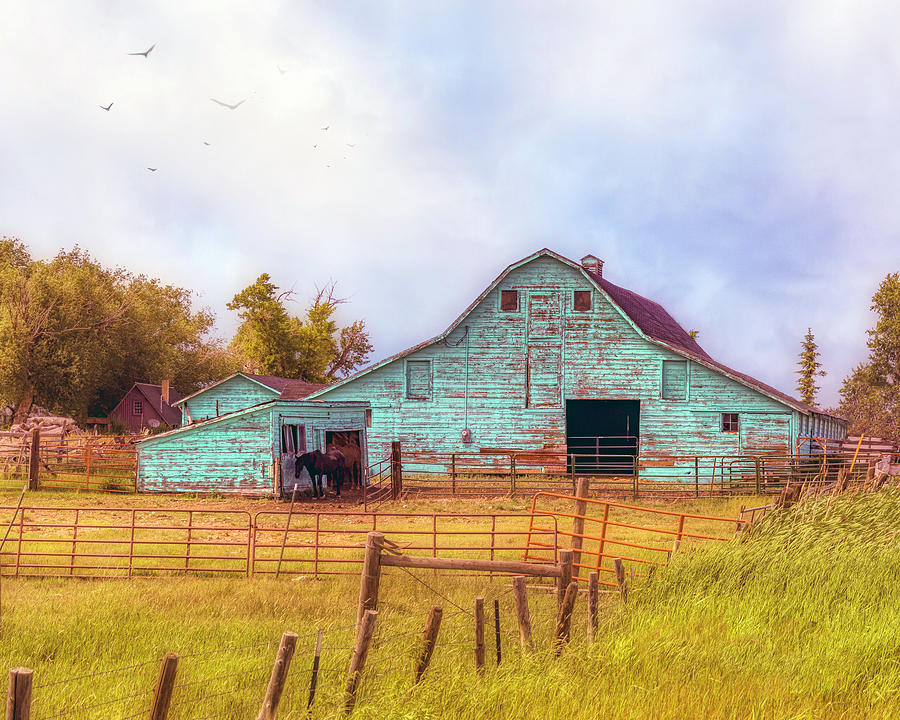 Big Green Barn Photograph by William Havle