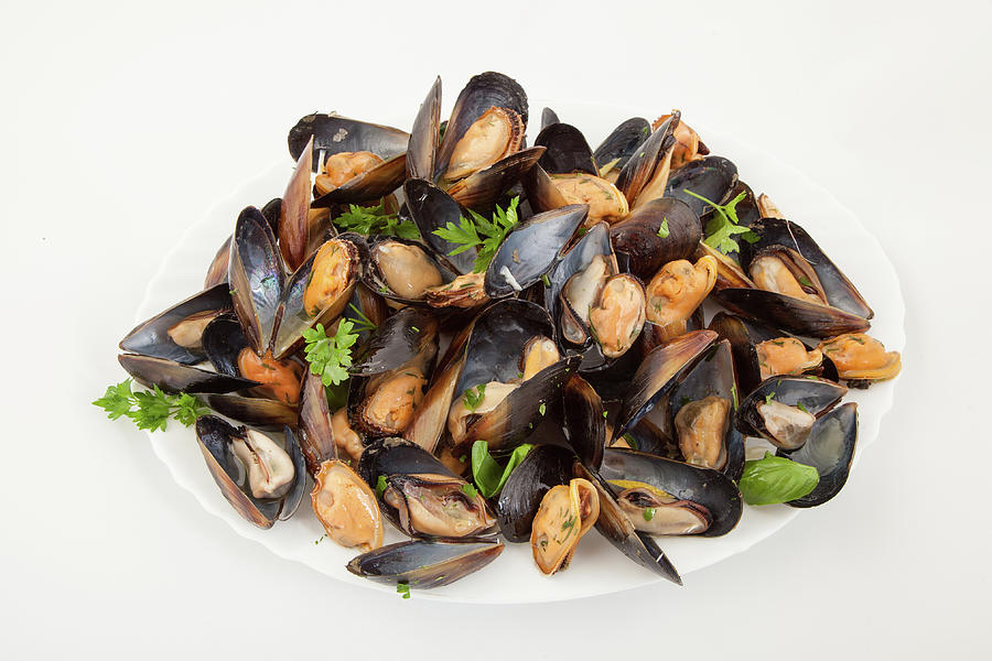 Big Group Steamed Fresh Mussels On White Plate Photograph